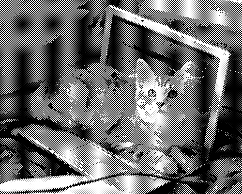 A low-resolution black-and-white photo of a cat sitting on a laptop. The cat is looking at you.